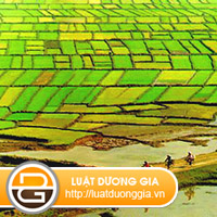 Luat-su-tu-van-ve-boi-thuong-dat-dai