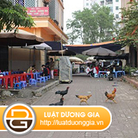 Nuoi-gia-cam-tai-khu-su-dung-chung-cua-chung-cu-co-bi-xu-phat-khong