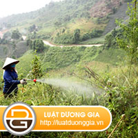 Phun-thuoc-co-vao-vuon-ben-canh-xu-ly-the-nao