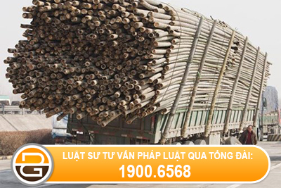 Quyet-dinh-06-2013-QD-UBND-quy-dinh-hoat-dong-cua-phuong-tien-giao-thong