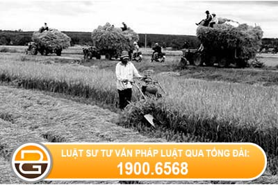 Thong-tu-449-TTg-ve-viec-ban-hanh-dieu-le-mau-hop-hop-tac-xa-san-xuat-nong-nghiep-bac-thap