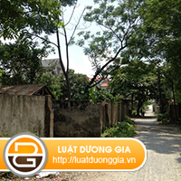 Tranh-chap-dat-ngo-giai-quyet-the-nao