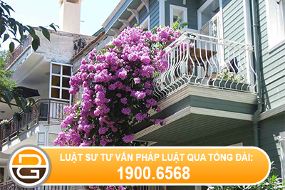 Tranh-chap-dien-tich-ngo-di-chung-giai-quyet-nhu-the-nao