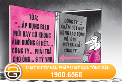 Vien-chuc-don-phuong-cham-dut-hop-dong-lam-viec-trong-truong-hop-nao