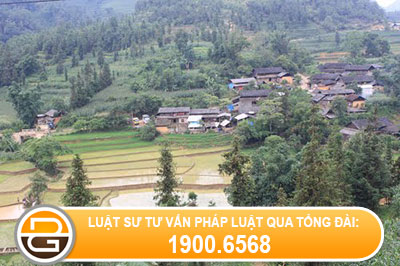 anh-em-tranh-chap-dat-do-cha-me-de-lai