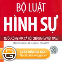 cac-van-de-co-ban-cua-bo-luat-hinh-su-viet-nam