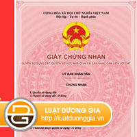 cap-giay-chung-nhan-quyen-su-dung-dat-sai-noi-dung