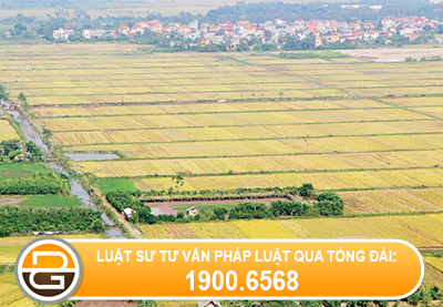 giai-quyet-tranh-chap-ve-van-de-dau-thau-dat-dai