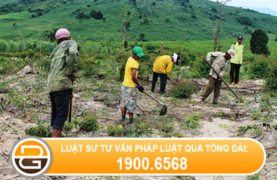 hanh-vi-lan-chiem-dat-dai-bi-xu-phat-nhu-the-nao