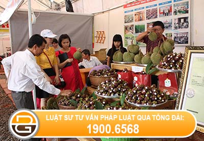 hanh-vi-vi-pham-quy-dinh-ve-quan-ly-hoa-chat-che-pham-diet-con-trung-diet-khuan-dung-trong-gia-dung-va-y-te