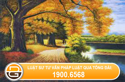 hoi-ve-van-de-dinh-gia-tai-san-gop-von