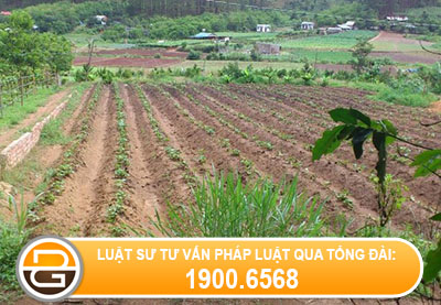 luat-su-tu-van-chuyen-muc-dich-su-dung-dat-nong-nghiep-sang-dat-o
