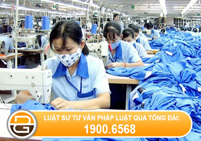 nguoi-lao-dong-phai-boi-thuong-nhu-the-nao-khi-nghi-ngang