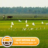 Vấn đề bán nàh đất của người Việt Nam định cư tại nước ngoài