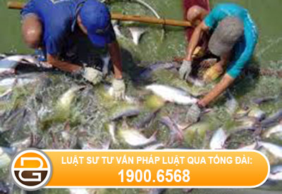 Quyết định 16/2014/QĐ-UBND ngày 22 tháng 10 năm 2014
