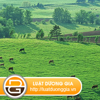 su-dung-dat-tren-30-nam-tranh-chap-phai-lam-the-nao.