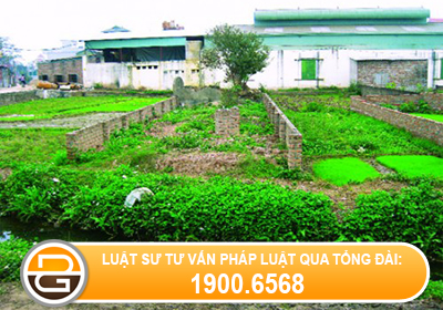 tham-quyen-giai-quyet-tranh-chap-dat-dat-hien-nay