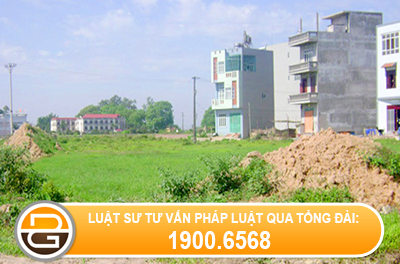 tranh-chap-ve-hop-dong-mua-dat-chung.