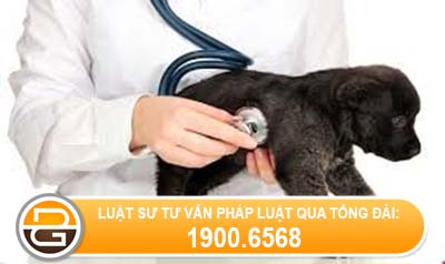 trinh-tu-thu-tuc-cap-cap-lai-thu-hoi-giay-chung-nhan-du-dieu-kien-buon-ban-thuoc-thu-y.
