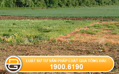 trong-coi-ho-dat-co-duoc-ho-tro-hay-khong