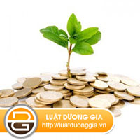 xu-phat-hanh-vi-vi-pham-cac-quy-dinh-ve-dau-tu-tai-Viet-Nam