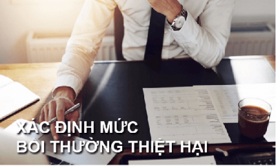 Xac-dinh-muc-boi-thuong-thiet-hai-do-ti%CC%81nh-ma%CC%A3ng-bi%CC%A3-xam-pha%CC%A3m-400x240