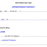 Mẫu hợp đồng học việc bằng tiếng anh, hợp đồng học việc song ngữ