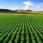 Quy định về đất nông nghiệp sử dụng vào mục đích công ích