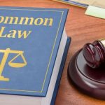 Cấu trúc nguồn luật trong dòng họ Civil Law và Common Law