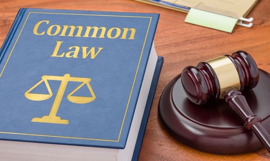 Cấu trúc nguồn luật trong dòng họ Civil Law và Common Law