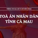 Tòa án nhân dân tỉnh Cà Mau và 09 TAND cấp khu vực