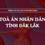 Tòa án nhân dân tỉnh Đắk Lắk và 15 TAND cấp khu vực