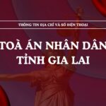 Tòa án nhân dân tỉnh Gia Lai và 14 TAND cấp khu vực