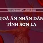 Tòa án nhân dân tỉnh Sơn La và 06 TAND cấp khu vực