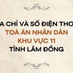 Địa chỉ và số điện thoại TAND Khu vực 11 tỉnh Lâm Đồng