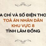 Địa chỉ và số điện thoại TAND Khu vực 8 tỉnh Lâm Đồng