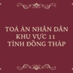 Địa chỉ và số điện thoại TAND Khu vực 11 tỉnh Đồng Tháp