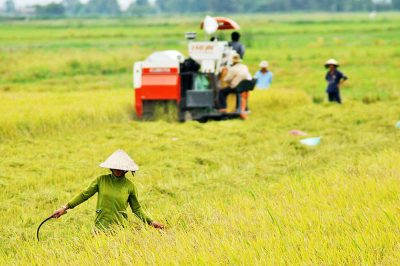 giao-dat-co-thu-tien-su-dung-dat-khi-nao-tien-su-dung-dat-la-bao-nhieu