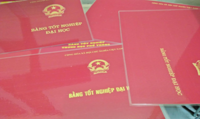 su-dung-bang-gia-bi-xu-phat-the-nao-xu-phat-lam-va-su-dung-bang-gia