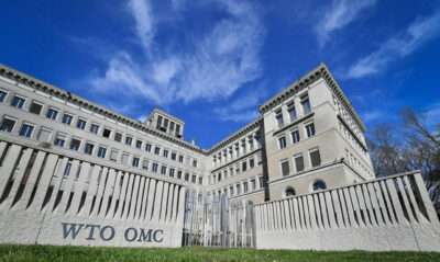 viet-nam-co-nhung-cam-ket-nao-trong-wto-va-lo-trinh-thuc-hien-cac-cam-ket-nhu-the-nao