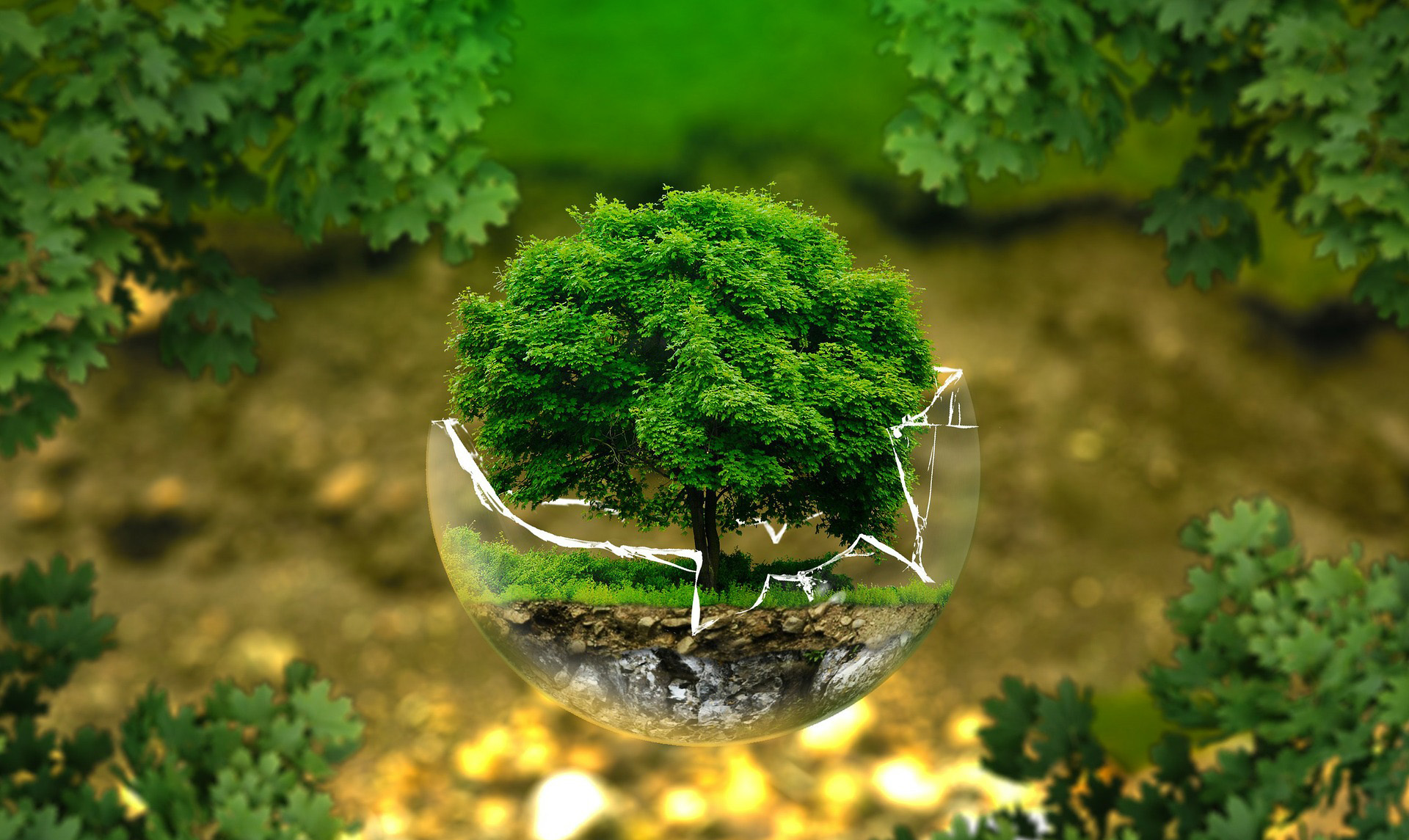 Phục hồi môi trường là gì? Quy định về việc ký quỹ cải tạo, phục hồi môi trường?