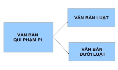 van-ban-duoi-luat-la-gi-so-sanh-phan-biet-van-ban-luat-va-van-ban-duoi-luat