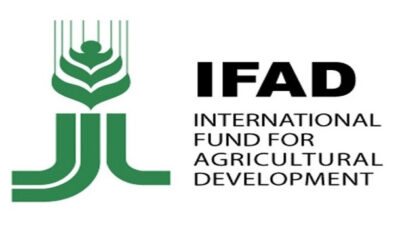 IFAD-la-gi-gioi-thieu-ve-quy-quoc-te-phat-trien-nong-nghiep
