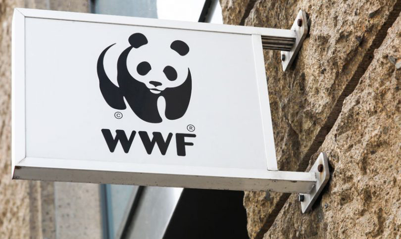 WWF là gì? Chức năng, vai trò của Quỹ quốc tế bảo tồn động vật hoang dã WWF