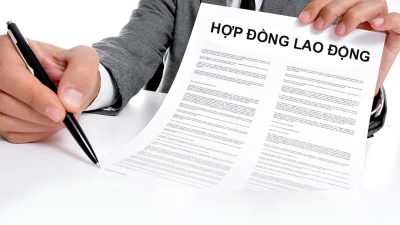 mau-don-de-nghi-ky-tiep-hop-dong-lam-viec-va-huong-dan-soan-thao-don