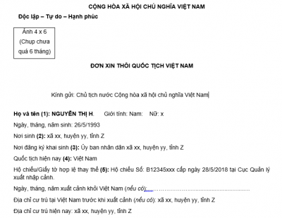 mau-don-xin-thoi-quoc-tich-viet-nam