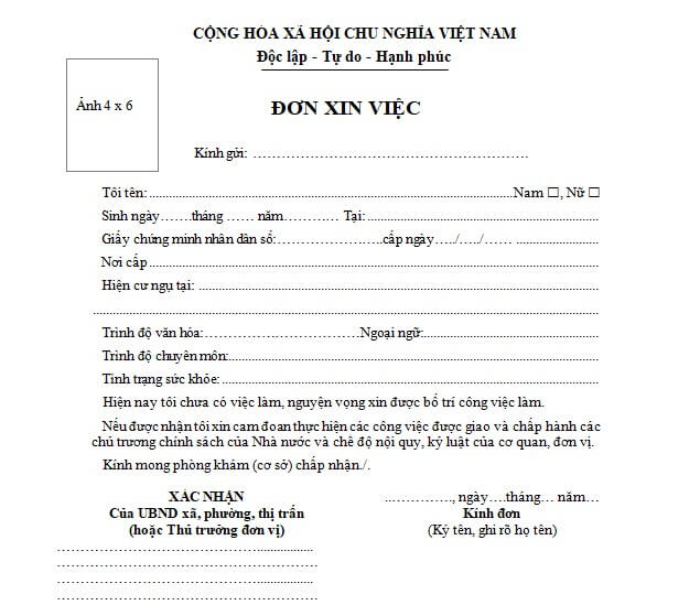 mau-don-xin-viec-nganh-cong-nghe-thong-tin