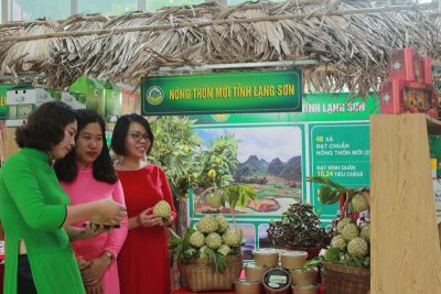 mau-hop-dong-dich-vu-trung-bay-gioi-thieu-san-pham