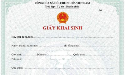 mau-to-khai-cap-lai-ban-chinh-giay-khai-sinh-moi-nhat