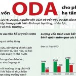 Mẫu báo cáo tình hình thực hiện dự án sử dụng vốn vay lại ODA của đơn vị sự nghiệp công